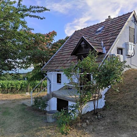 Apartmán Kishaz A Szolohegyen Balatonakali Exteriér fotografie