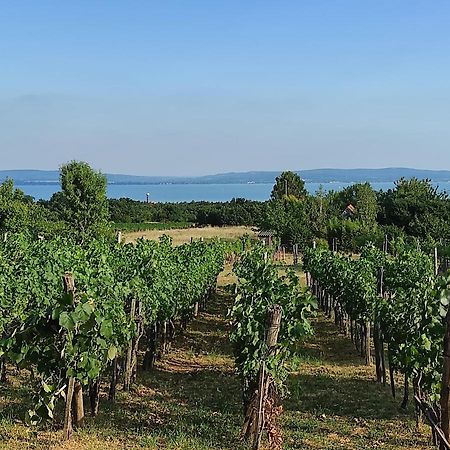 Apartmán Kishaz A Szolohegyen Balatonakali Exteriér fotografie