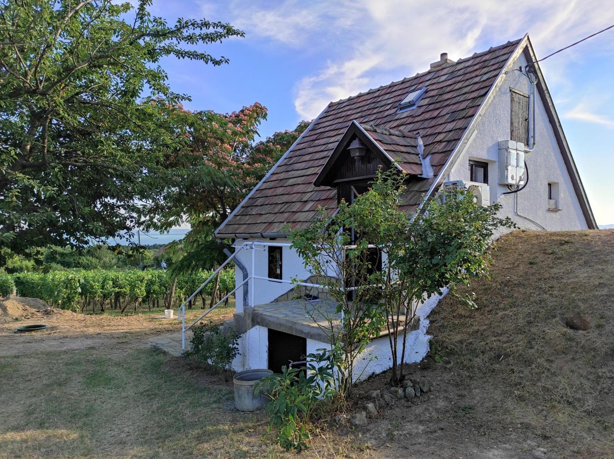 Apartmán Kishaz A Szolohegyen Balatonakali Exteriér fotografie