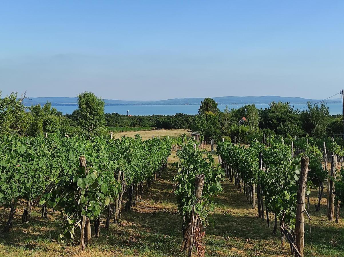 Apartmán Kishaz A Szolohegyen Balatonakali Exteriér fotografie